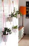 Macrame Plant Hangars - Angela & Roi - BeHoneyBee.com - 4
