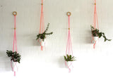 Macrame Plant Hangars - Angela & Roi - BeHoneyBee.com - 3